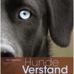 Hundeverstand