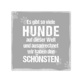 20x20cm-metallschild-tuerschild-es-gibt-so-viele-hunde-haustier-geschenk-lustig