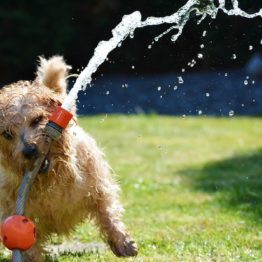 Alles für den Sommer und die warmen Tage