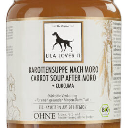 Karottensuppe-Moro