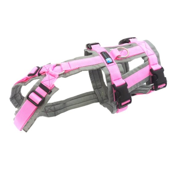 Anny X-Safety-Geschirr Sonderfarbe grau/rosa
