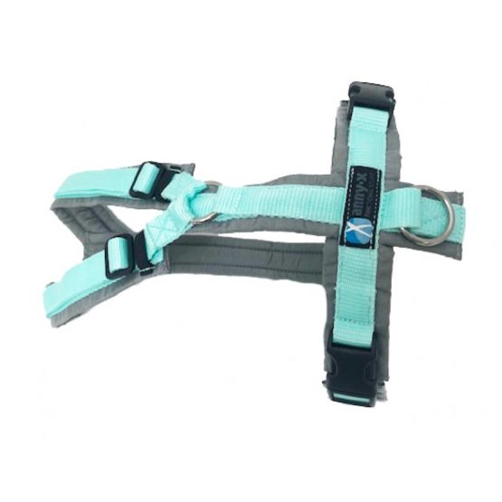 Annyx-Fun-Geschirr Sonderfarbe grau/mint