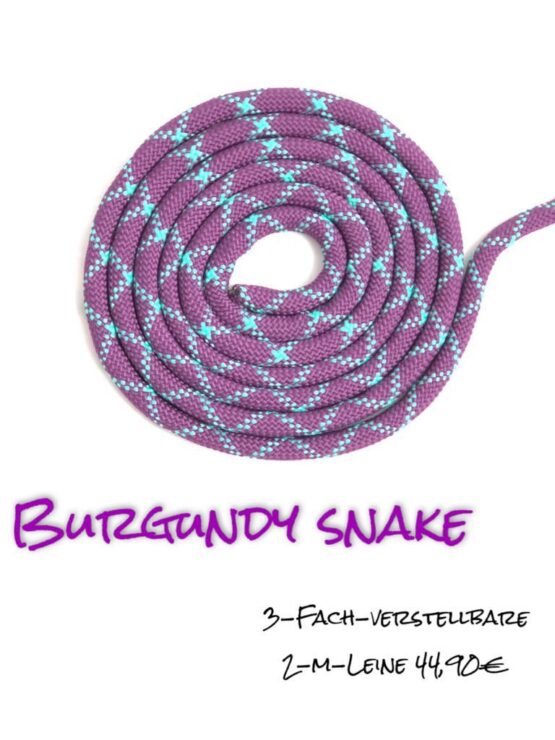 Burgundy Snake