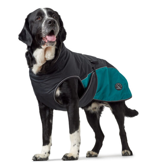 Hunter Hundemantel Uppsala Allrounder – Bild 10