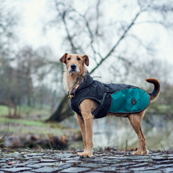 Hunter Hundemantel Uppsala Allrounder – Bild 11