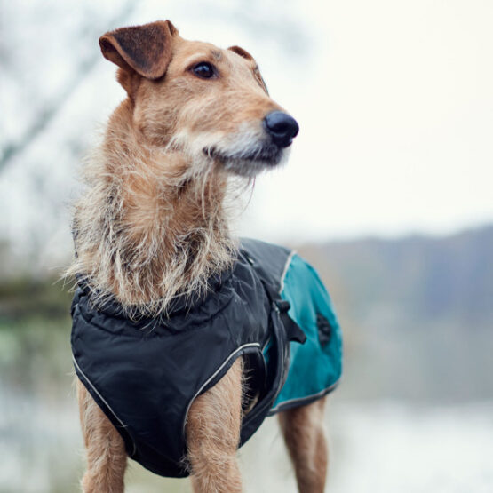 Hunter Hundemantel Uppsala Allrounder – Bild 13