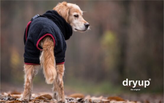 DRYUP Cape Hundebademantel – Bild 10