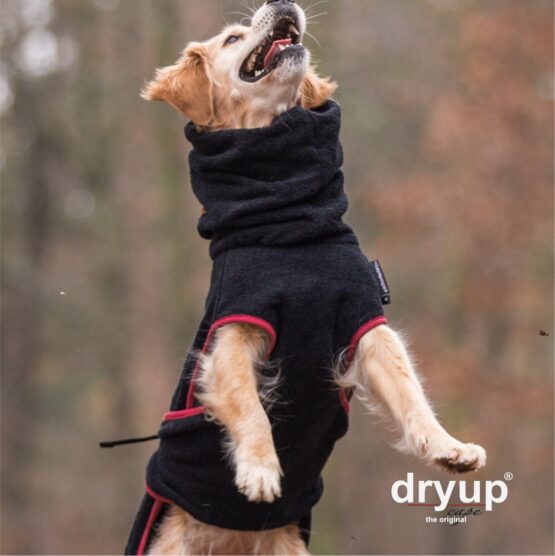 DRYUP Cape Hundebademantel – Bild 6