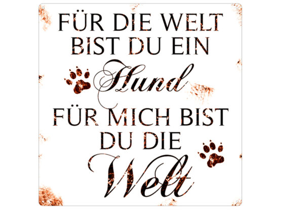 Blechschild "Für die Welt bist du ein Hund...."