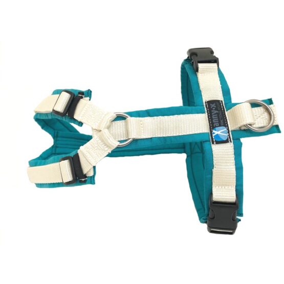 Annyx-Fun-Geschirr Sonderfarbe petrol/creme