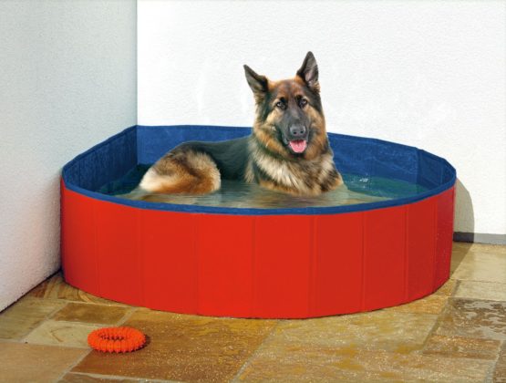 Karlie Doggy Pool – Bild 2