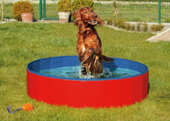 Karlie Doggy Pool