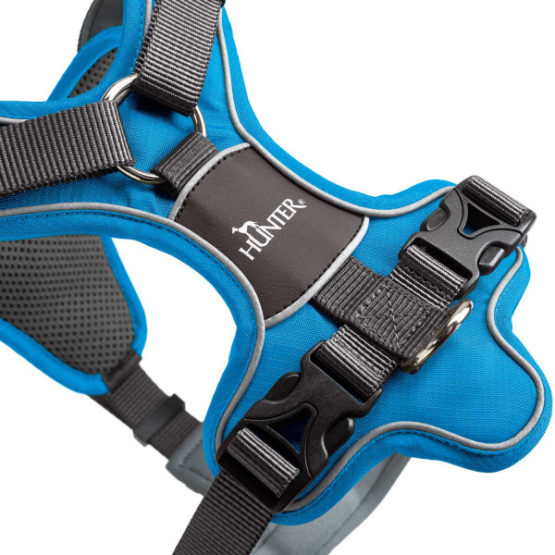 Hunter Geschirr Divo - hellblau/grau – Bild 3