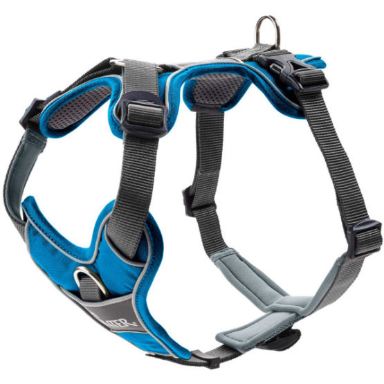 Hunter Geschirr Divo - hellblau/grau
