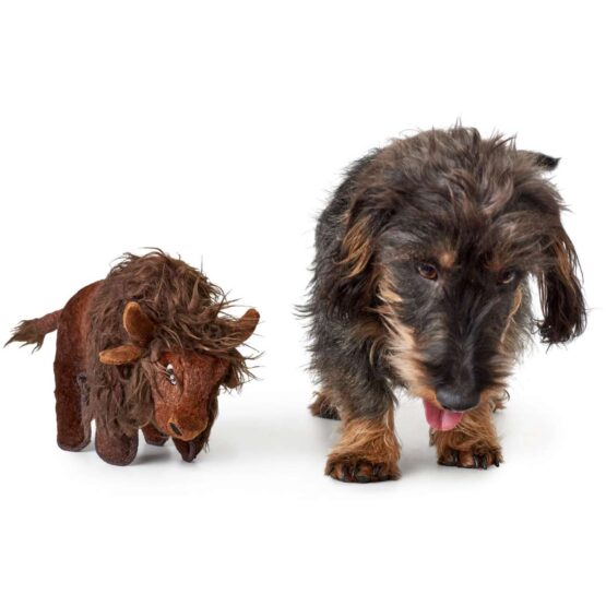 Hundespielzeug Tough Kamerun Bison 24 cm – Bild 3