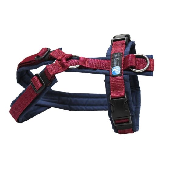 Annyx-Fun-Geschirr Sonderfarbe marine/bordeaux
