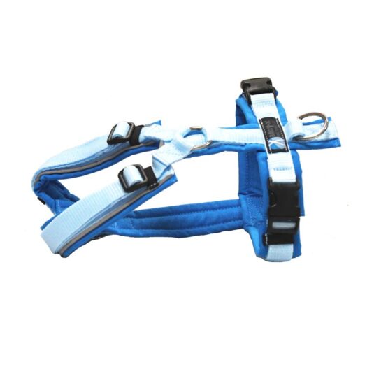 Annyx-Fun-Geschirr Sonderfarbe reflective lichtblau/hellblau