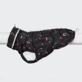 cloud7-dog-coat-alaska-black-flower_11