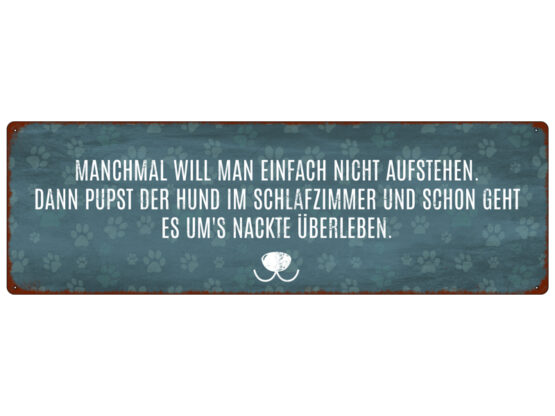 Blechschild "Manchmal will man einfach..."