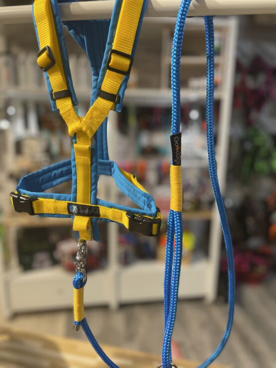 Zeig Flagge - Tauprodukte zum AnnyX - Farbe blau/gelb (blaues Tau)
