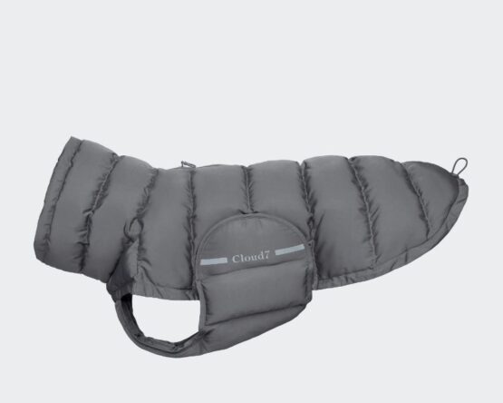 Cloud7 Hundemantel Alaska Anthra (Modell 2022)