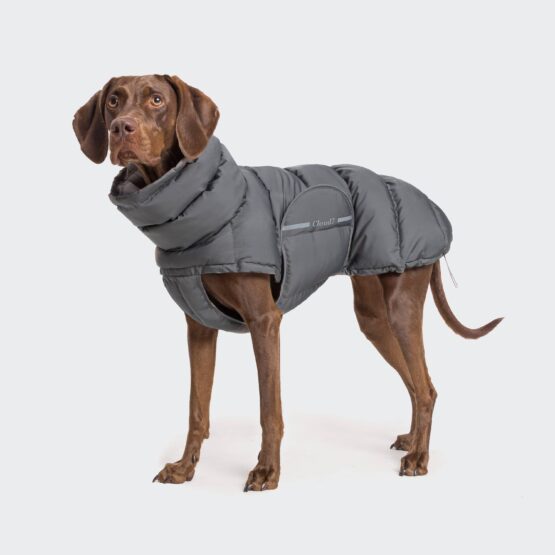 Cloud7 Hundemantel Alaska Anthra (Modell 2022) – Bild 5