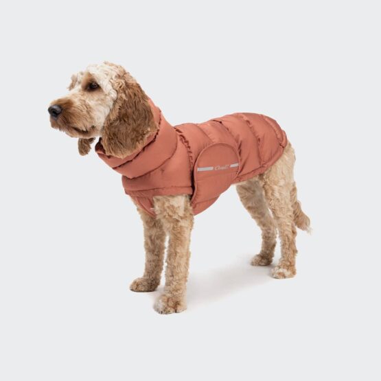Cloud7 Hundemantel Alaska Brick Red (Modell 2022) – Bild 5