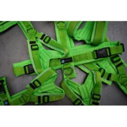 Brustgeschirr-Protect-limited-edition_Farbe_leuchtgruen--hellgruen