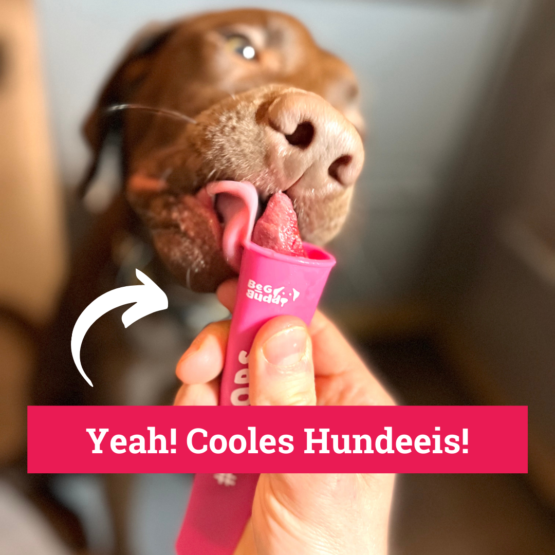 ICEPOPS für DIY Hundeeis 6er-Pack – Bild 2