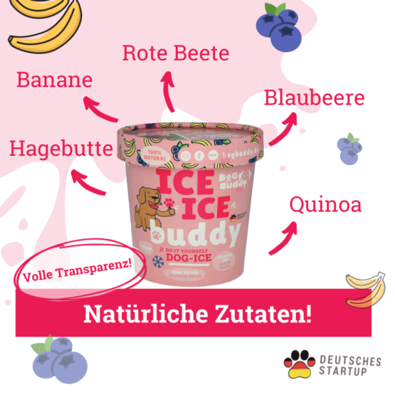 BeGBuddy Eis für Hunde mit Banane und Blaubeere, 66 g – Bild 3