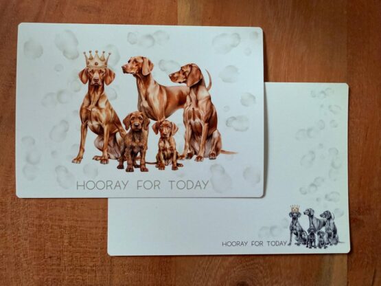 Unikate Hands4paws e.V. - Postkarte DinA6 "Hooray for Today"