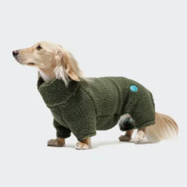 Cloud7 Hundepullover Dackel Cornwall Teddy Olive