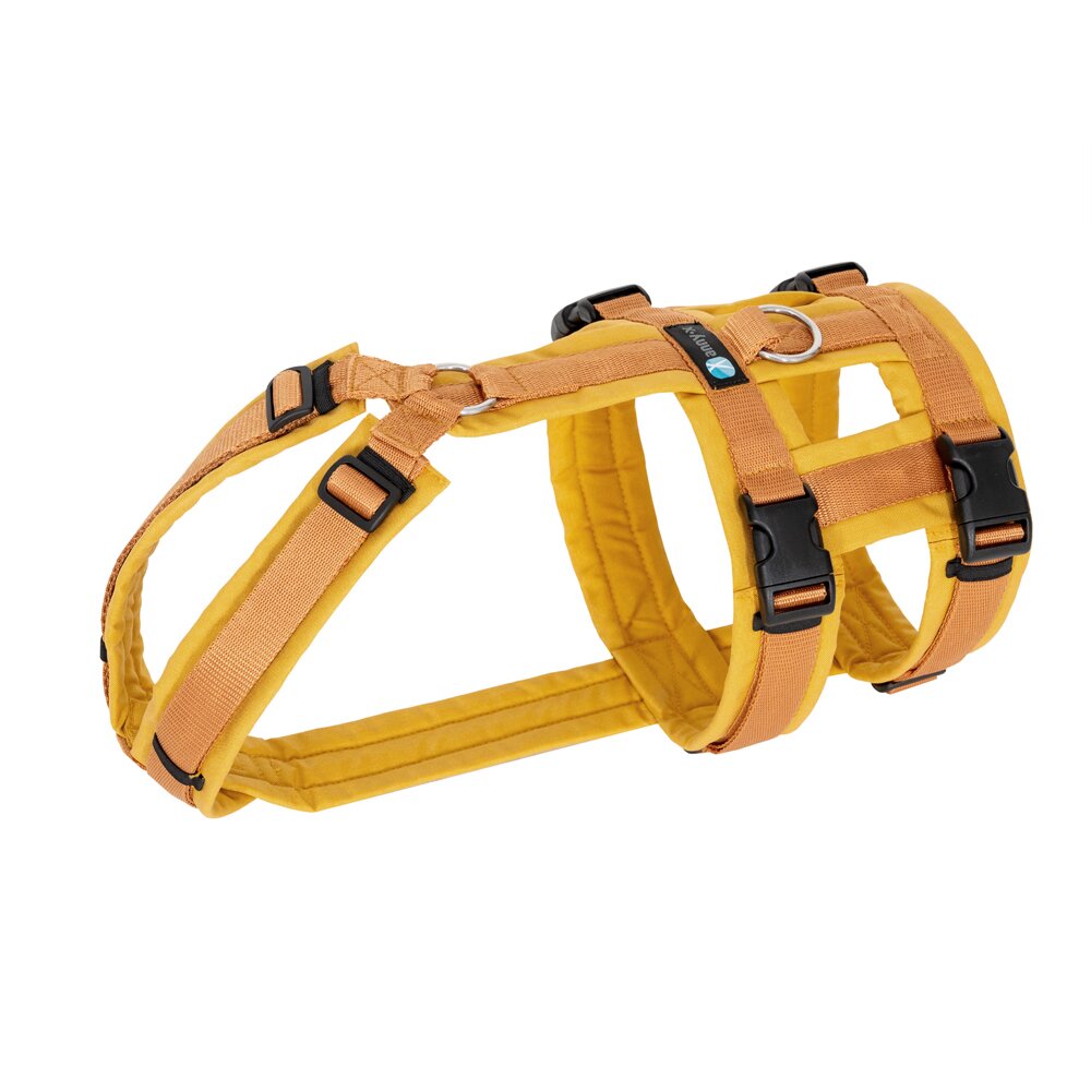 brustgeschirr-safety-fun_farbe_goldgloeckchen brustgeschirr-safety-fun_farbe_goldgloeckchen
