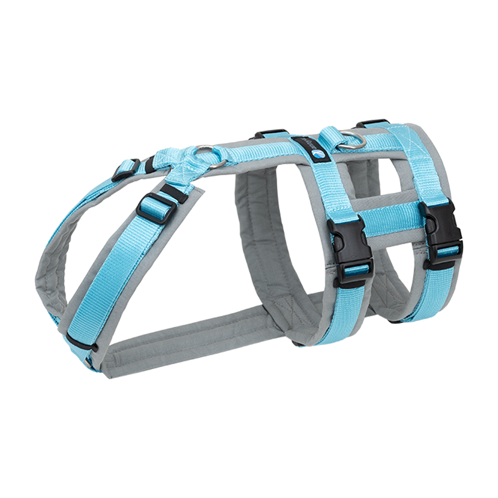 brustgeschirr-safety-fun_farbe_grau--eisblau brustgeschirr-safety-fun_farbe_grau--eisblau