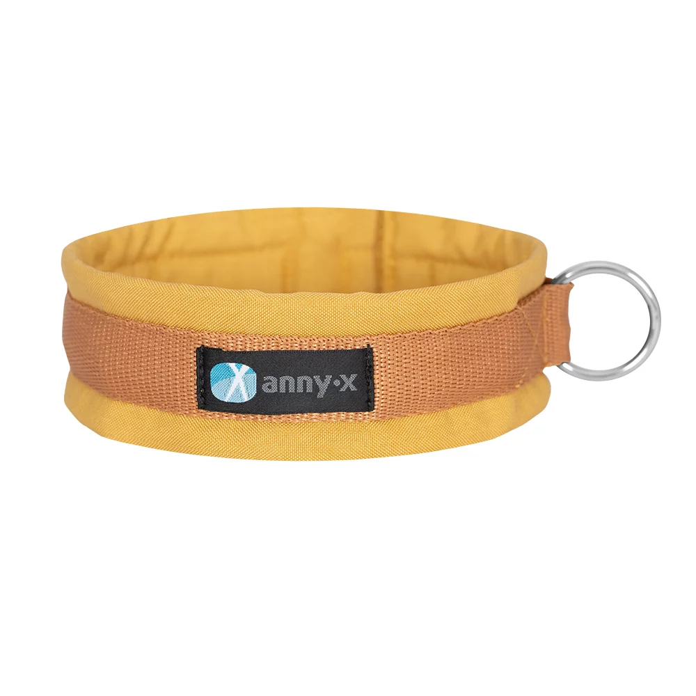 steckhalsband-fun-goldgloeckchen-2 steckhalsband-fun-goldgloeckchen-2